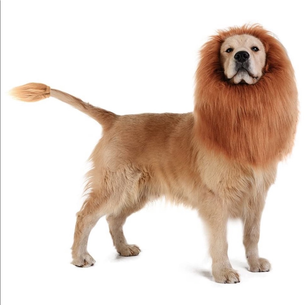 Dog Lion Mane Costume Halloween LARGE